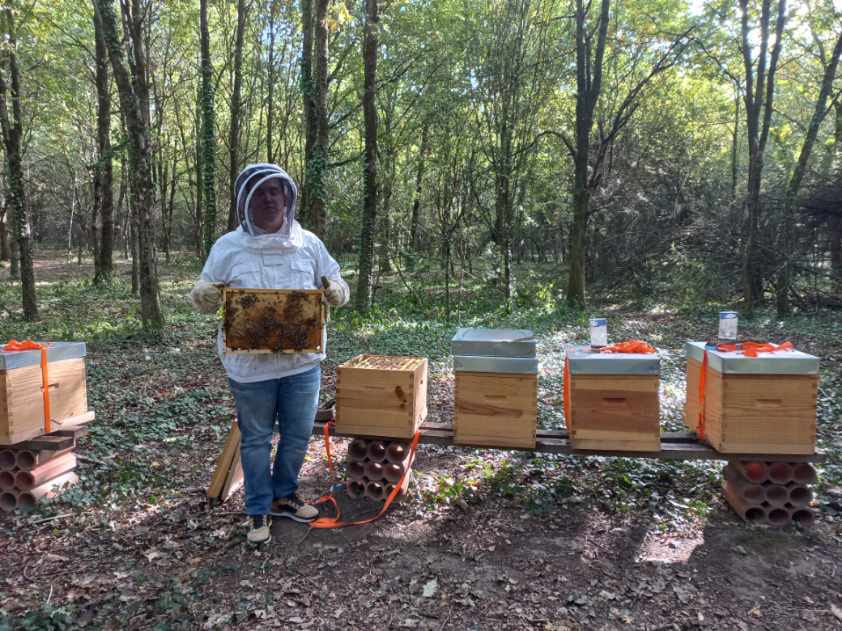 Romain, étudiant en Mastère Manager de Projet, passionné d’apiculture